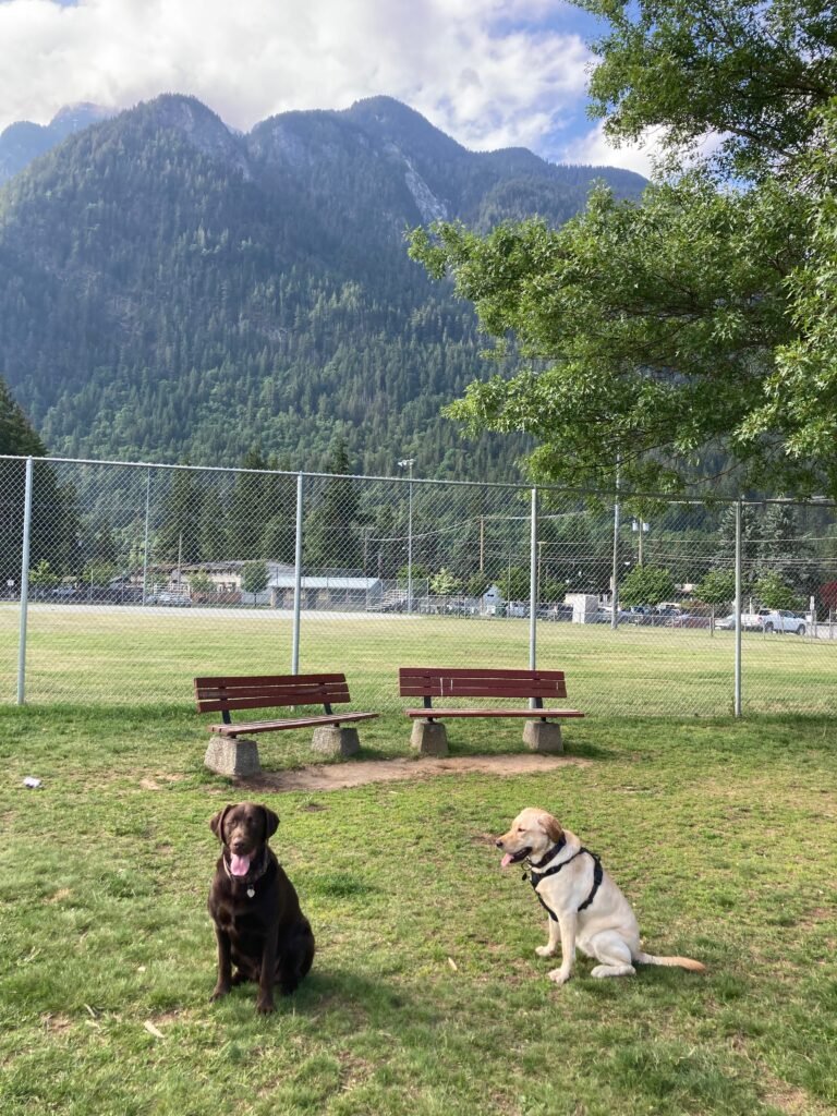 Buster and Lily at Hedlund Dog Park in Hope BC