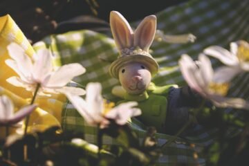 easter, easter bunny, decoration, nature, flowers, spring, flower wallpaper, hare, bunny, figure, cute, decorative, easter collection, meadow, flower background, closeup, beautiful flowers, easter, easter, easter, easter, easter