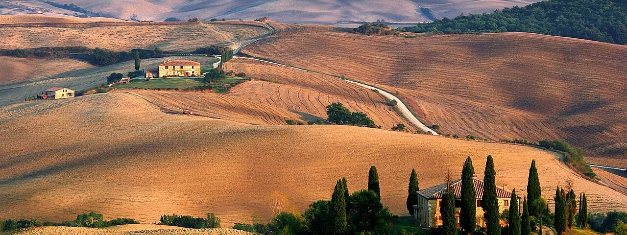 tuscany, landscape, cypress, wilderness, outdoors, nature, tuscany, tuscany, tuscany, tuscany, tuscany