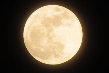 moon, full moon, night, night sky, fullmoon, moon, moon, moon, moon, moon, full moon, full moon, full moon, fullmoon