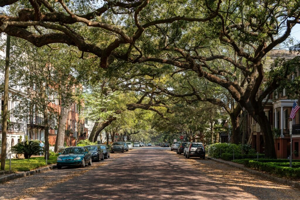 A picturesque view of a historic street lined with oak trees and classic architecture in Savannah, Georgia.
